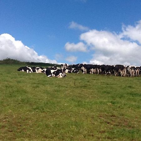 North Hollacombe Farm เครดิตัน ภายนอก รูปภาพ